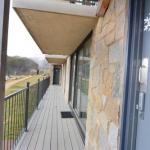 Molonys 14 - Tourism Caloundra 0