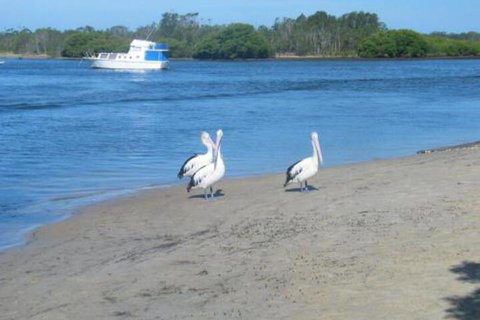 Views To Yaccaba Headland - Tourism Caloundra 7
