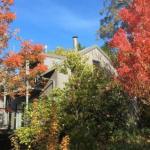 Cloudsong Chalet 4 Close To The Village Centre! - Tourism Caloundra 0