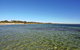 Seahorse Beach Just 550m From House - thumb 1