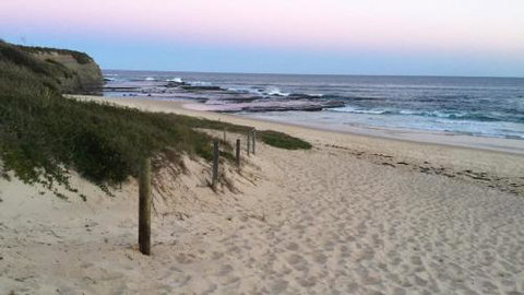Lighthouse Palms - Tourism Caloundra 4