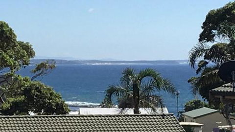 Lighthouse Palms - Tourism Caloundra 5