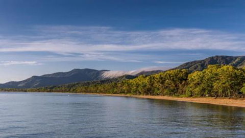 RED COWRIE 321atPALM COVE - Tourism Caloundra 3