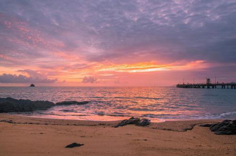 RED COWRIE 321atPALM COVE - Tourism Caloundra 5