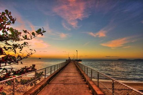 RED COWRIE 321atPALM COVE - Tourism Caloundra 2