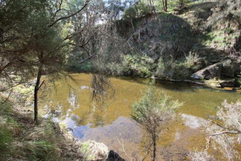 Alpine Streamside - Tourism Caloundra 3