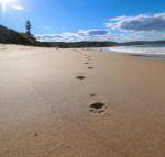 Surfers Paradise at Catherine Hill Bay - Tourism Caloundra