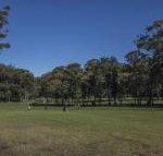 Championship Golf Course on your Back Door - Tourism Caloundra
