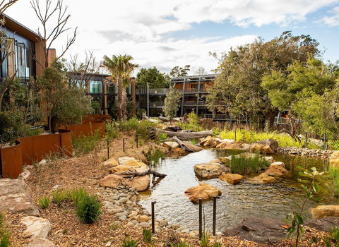 Wildlife Retreat At Taronga - Tourism Caloundra 3