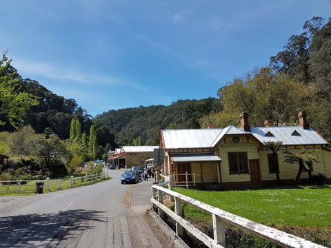 Walhalla Coach House - Tourism Caloundra 4