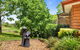 Ravensbourne Escape Tree Tops - thumb 5
