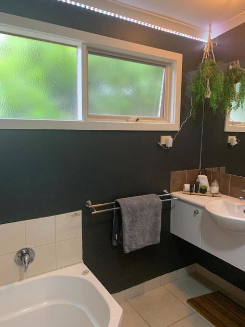 Phillip Island Nature Resort - Tourism Caloundra 6