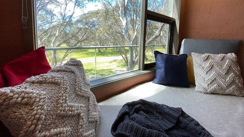 Snowgums 11 - Tourism Caloundra 6