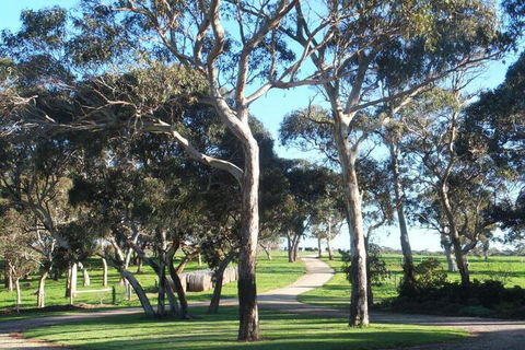 Kenwood Bank Vineyard Retreat - Tourism Caloundra 5