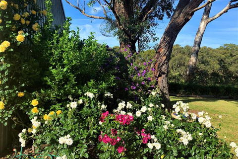 Kenwood Bank Vineyard Retreat - Tourism Caloundra 3