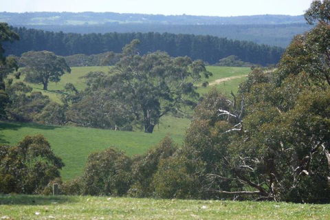 Kenwood Bank Vineyard Retreat - Tourism Caloundra 6