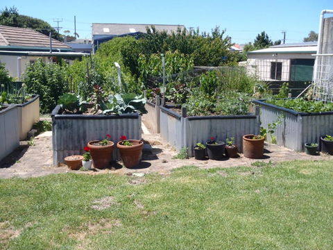 Evergreen - Tourism Caloundra 4