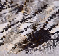 Discover Classic Rocks - Tourism Caloundra