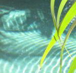 Artizen - Tourism Caloundra