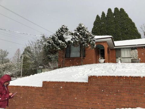 Ecoangelus - Tourism Caloundra 5