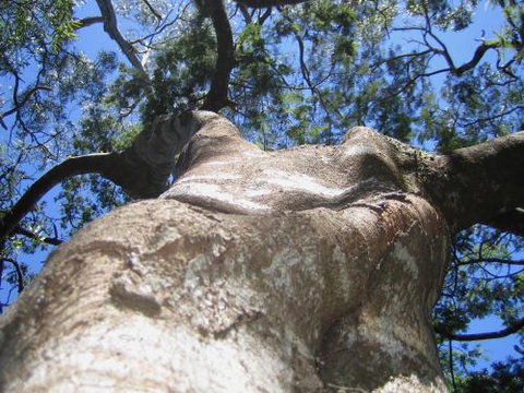 Arthur Riverfront & Sea Lodge Downstream - Tourism Caloundra 4