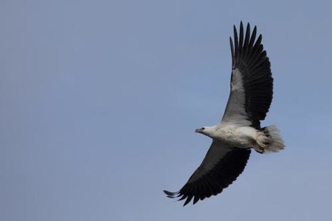Arthur Riverfront & Sea Lodge Downstream - Tourism Caloundra 6
