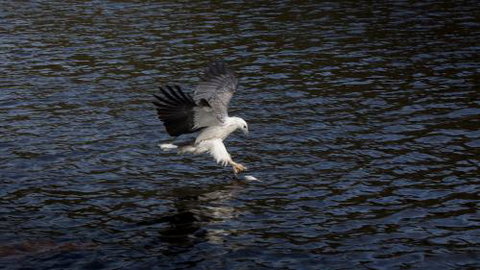 Arthur Riverfront & Sea Lodge Downstream - Tourism Caloundra 3