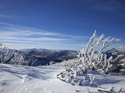 Razorback 12 / 1 Gippsland Street - Tourism Caloundra 6