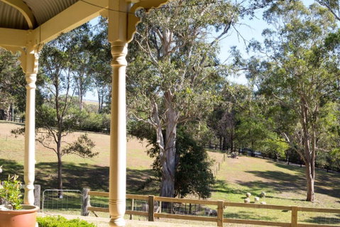 The Willows At Kurrajong - Tourism Caloundra 3