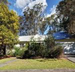 Pet Friendly Summer Cottage - Tourism Caloundra