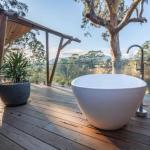 Burragate NSW Tourism Caloundra