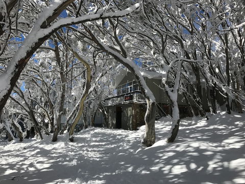 Amber Lodge Mt Buller - Hostel - Tourism Caloundra 2