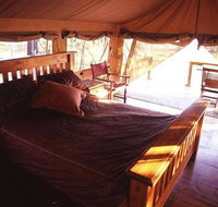 Jabiru Safari Lodge - Tourism Caloundra