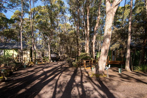 Lake St Clair Lodge - Tourism Caloundra 2
