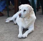 Nazaaray Beach House - Tourism Caloundra