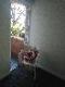 Abbeville Apartments - Tourism Caloundra 5
