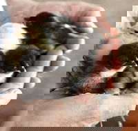 Margaret River Hideaway - Tourism Caloundra