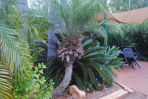 Kingaroy Holiday Park - Tourism Caloundra 1