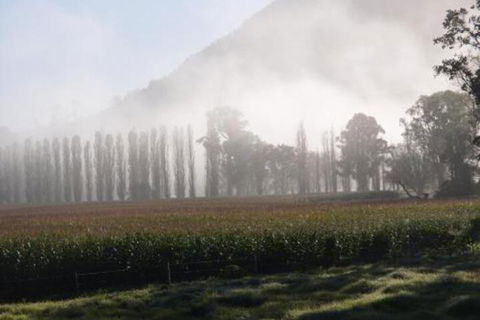 Barrington River House - Tourism Caloundra 4