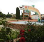 Big Trout Motel - Tourism Caloundra