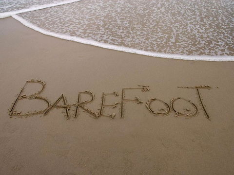 Barefoot 7 / 44 Marine Drive Fabulous Fingal Bay - Tourism Caloundra 4