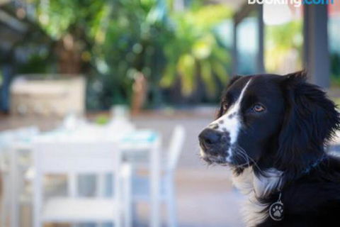 Bay Dream Believer 16 Verona Road Pet Friendly Boat Parking & WIFI - Tourism Caloundra 4