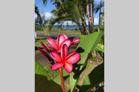 Mission Possible - Tourism Caloundra 6