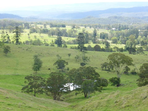 Anduramba Homestead B & B - Tourism Caloundra 4
