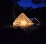Glamping at Zeehan Bush Camp - Tourism Caloundra