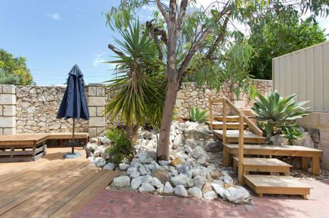 Dingo At White Gum Lodge - Tourism Caloundra 4