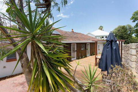 Dingo At White Gum Lodge - Tourism Caloundra 5