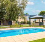 Penguins by the Beach - Tourism Caloundra