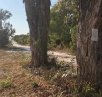 COONARR BEACH  BUNDABERG CAMPING - Tourism Caloundra