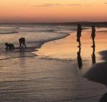 Cromarty Cottage 900m from Birubi Beach - Tourism Caloundra